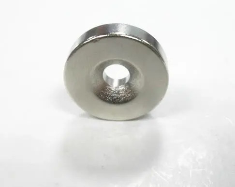 La terra rara nera Ring Magnets N35-N52 dell'OEM modella/dimensione su misura