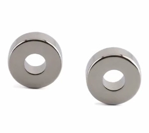 La dimensione ha personalizzato il neodimio a magnete permanente Ring Shaped Magnet